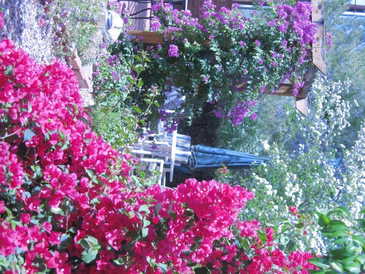 Mon Ami Bed And Breakfast Tucson Exteriér fotografie
